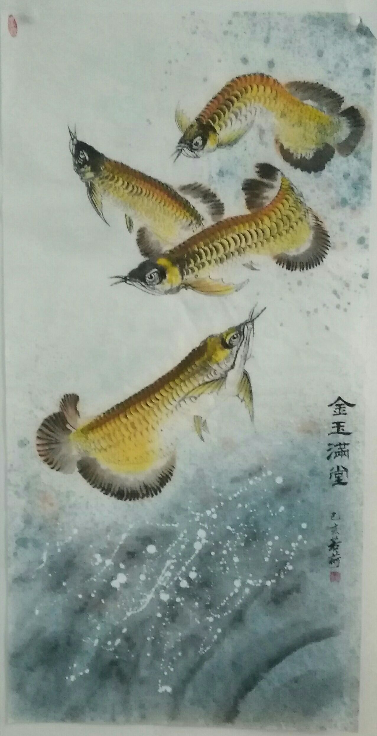 我画的金龙鱼，鱼中之王，镇宅之宝。 观赏鱼论坛 第3张