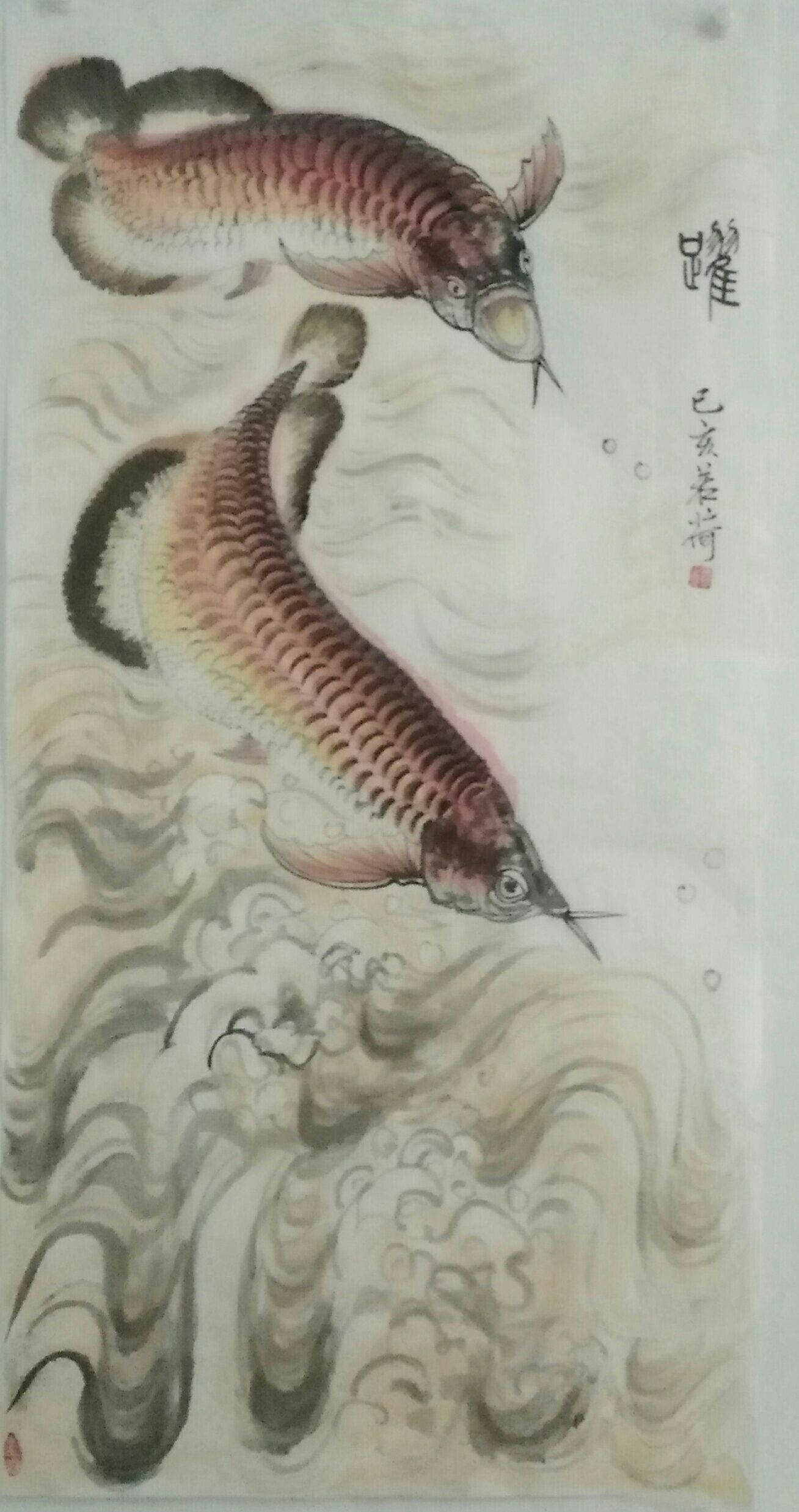 我画的金龙鱼，鱼中之王，镇宅之宝。 观赏鱼论坛 第4张