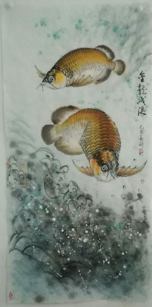 我画的金龙鱼，鱼中之王，镇宅之宝。 观赏鱼论坛 第6张