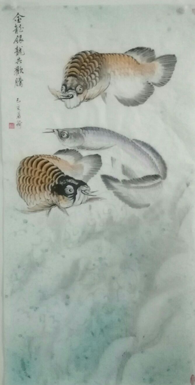我画的金龙鱼，鱼中之王，镇宅之宝。 观赏鱼论坛 第5张