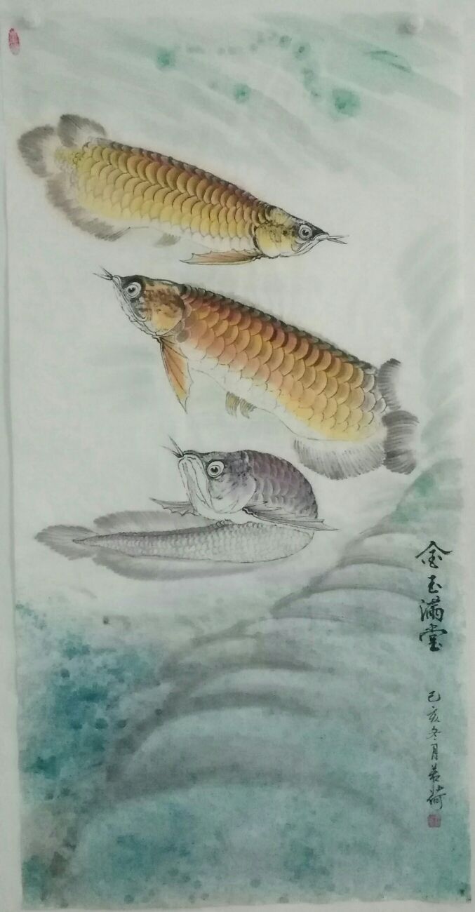 我画的金龙鱼，鱼中之王，镇宅之宝。 观赏鱼论坛 第8张