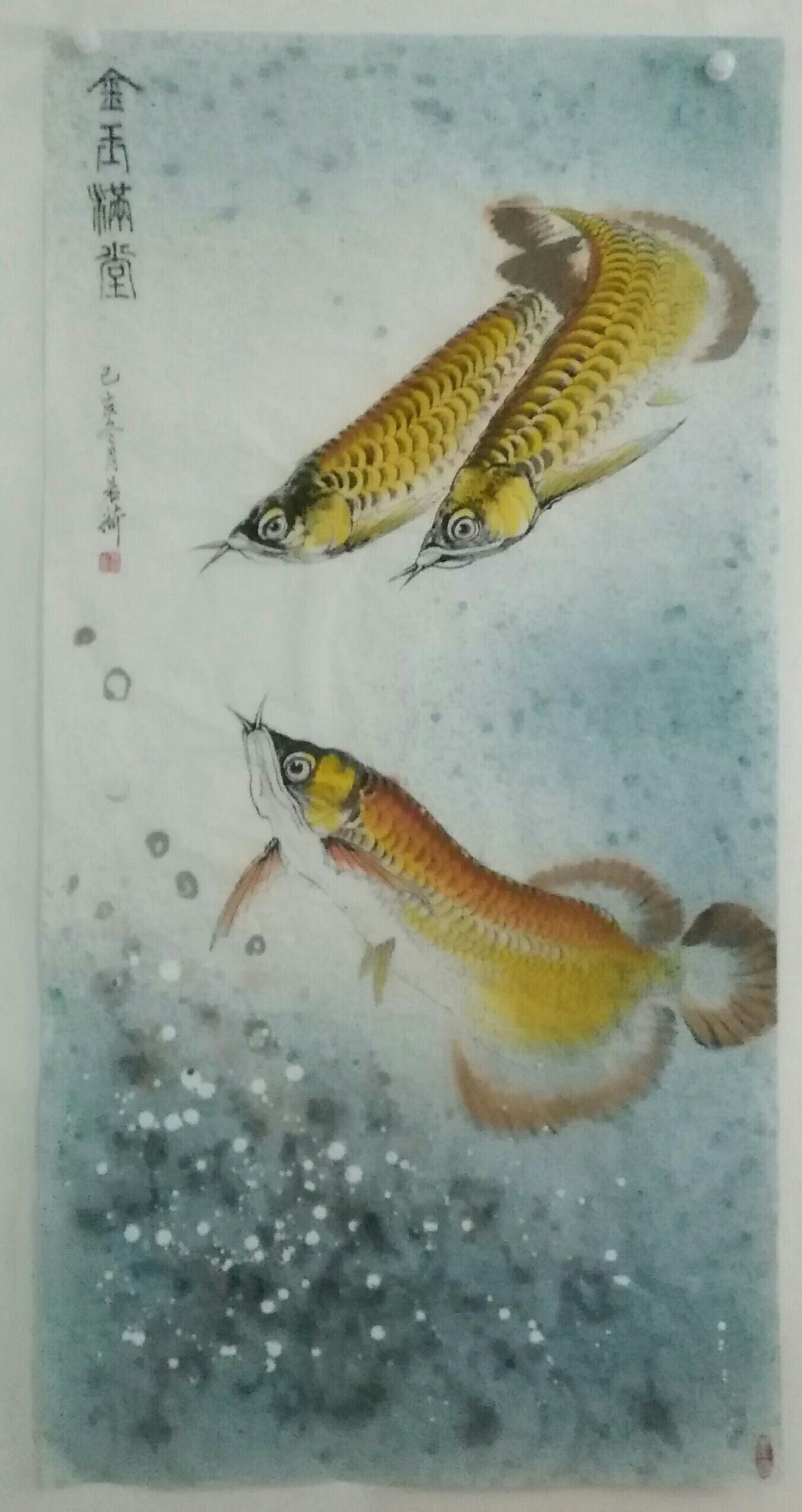 我画的金龙鱼，鱼中之王，镇宅之宝。 观赏鱼论坛 第7张
