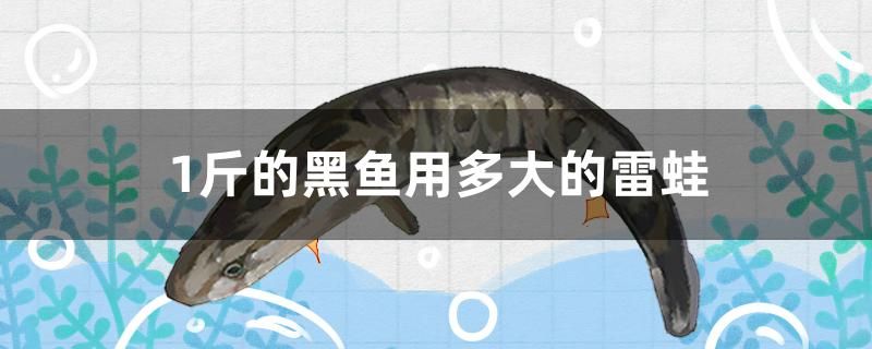 1斤的黑鱼用多大的雷蛙 祥龙水族医院