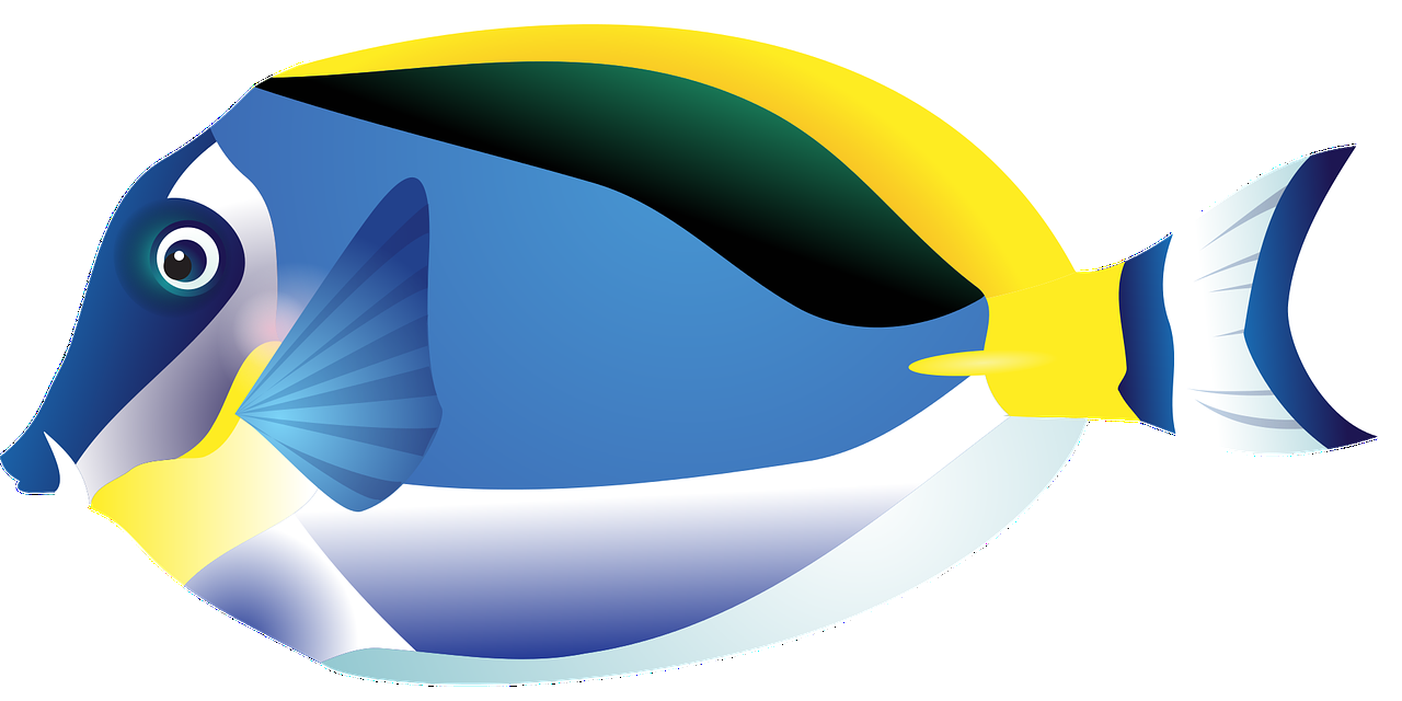 定西鱼缸玻璃价格查询表（西安玻璃鱼缸制作厂家） 黄鳍鲳鱼 第1张