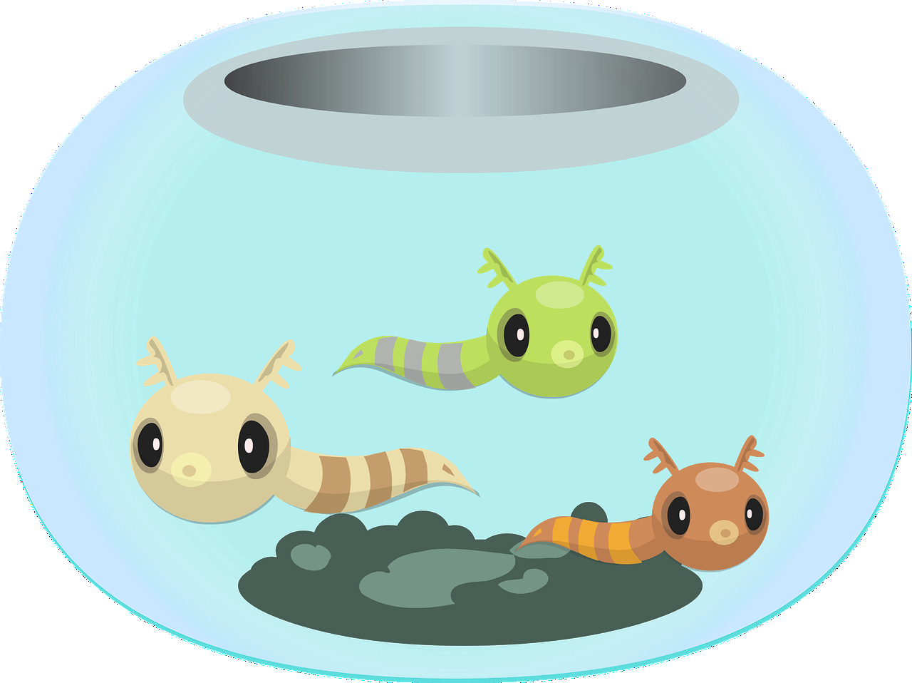 玉石能放在鱼缸里吗有毒吗 玉石能放在鱼缸里吗有毒吗视频 蝴蝶鲤 第1张