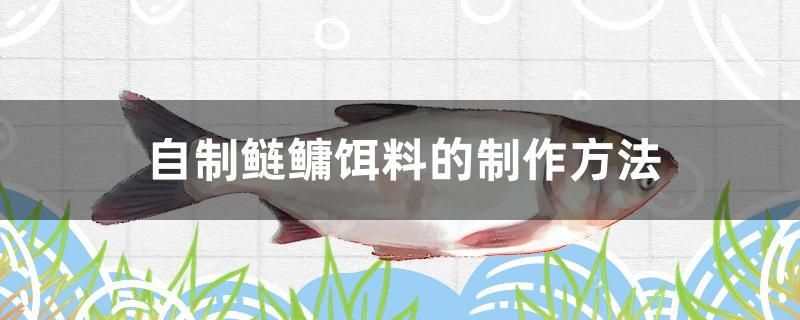 自制鲢鳙饵料的制作方法 申古三间鱼 第1张