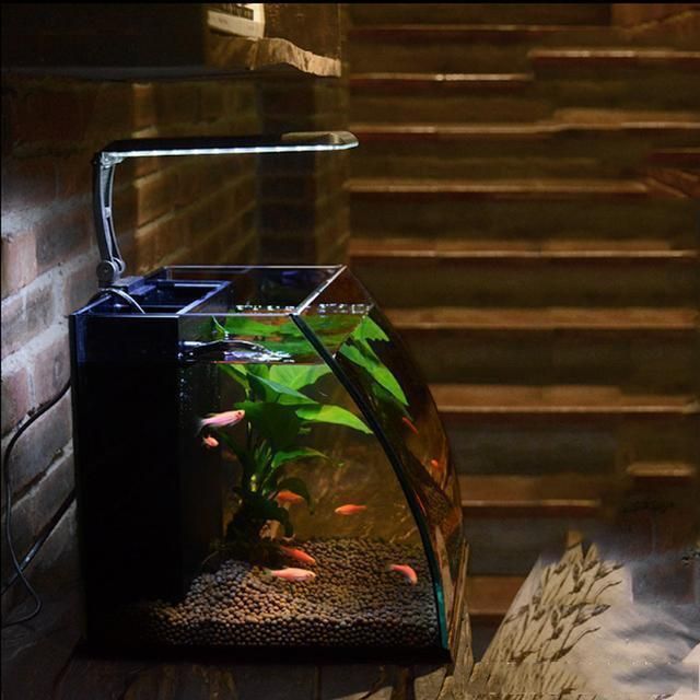 玻璃鱼缸制作方法视频教程(玻璃鱼缸制作方法视频教程尺寸) 高背金龙鱼 第2张