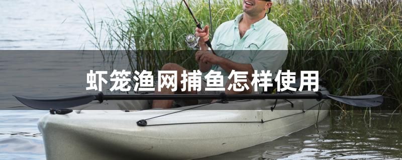 虾笼渔网捕鱼怎样使用 BD魟鱼 第1张