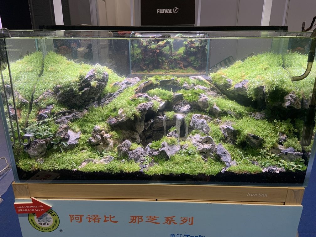 2019上海水族宠物展景观图鉴 观赏鱼论坛 第19张