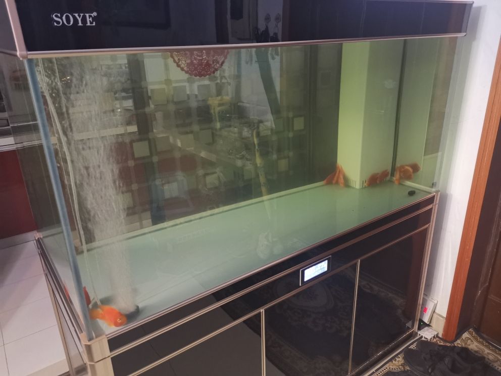 鱼缸玻璃尺寸规格（15米鱼缸玻璃厚度是12好还是15好）