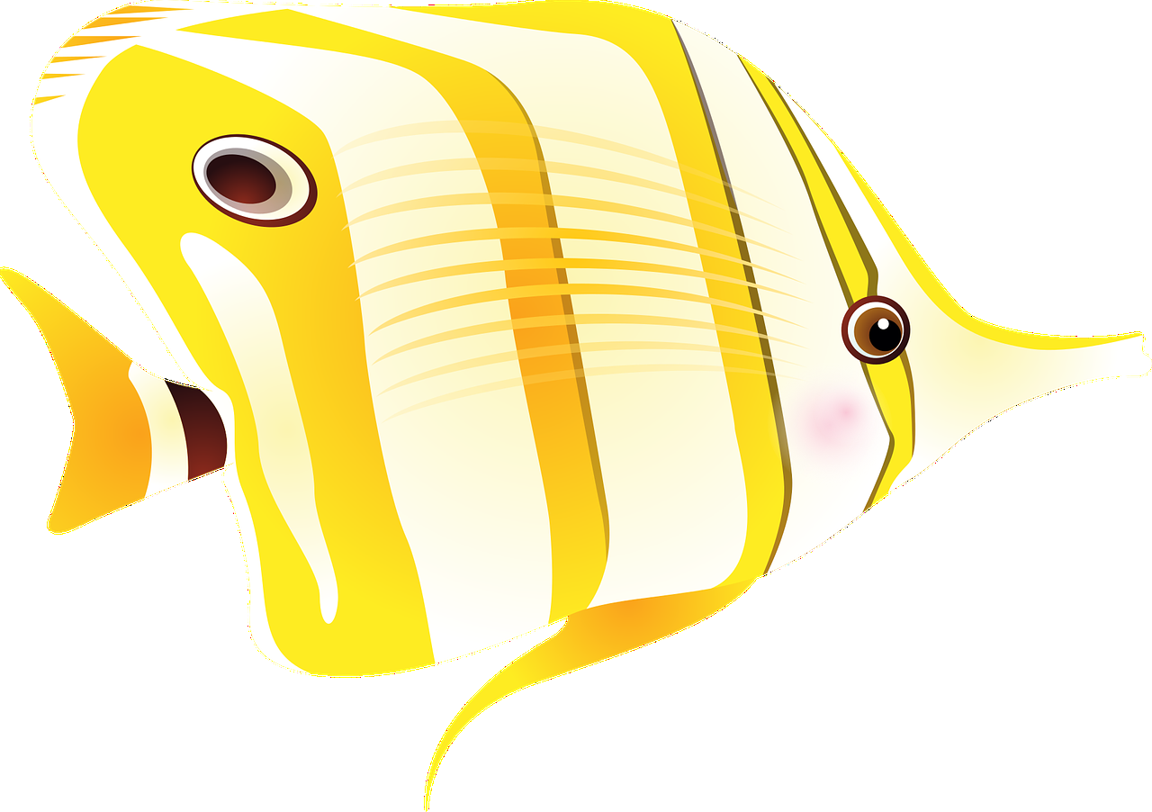 立体的鱼缸怎么画（鱼缸的立体图形） 黄金达摩鱼 第2张