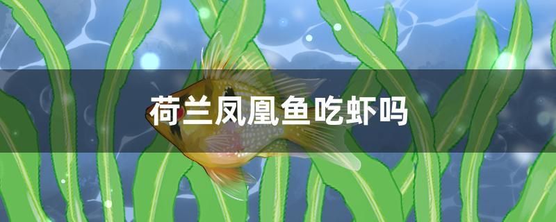 福州观赏鱼饲料公司招聘电话号码 福州哪里喂鱼 巨骨舌鱼