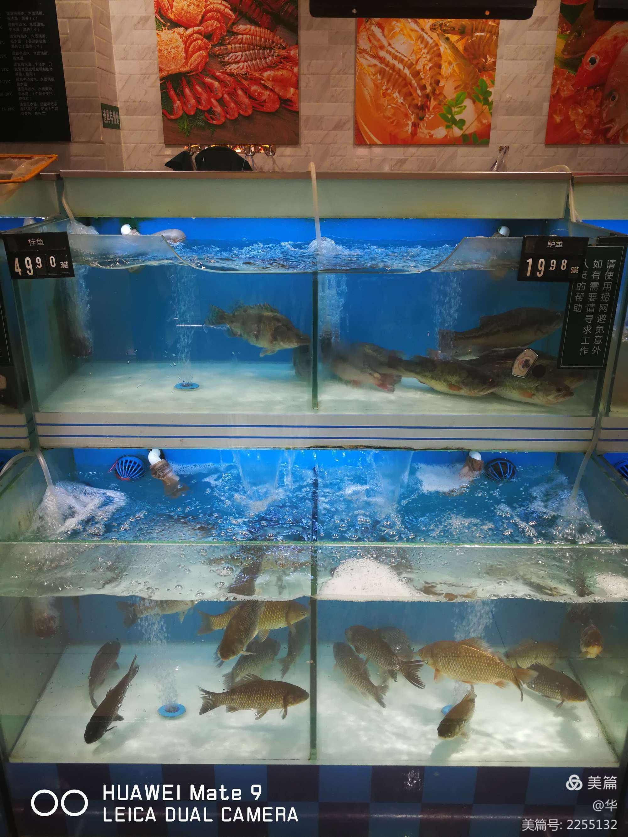 萧山哪里有卖鱼缸便宜的店(萧山哪里有卖鱼缸便宜的店铺)