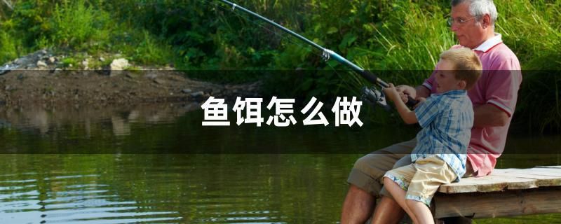 鱼饵怎么做 马来西亚猫山王榴莲