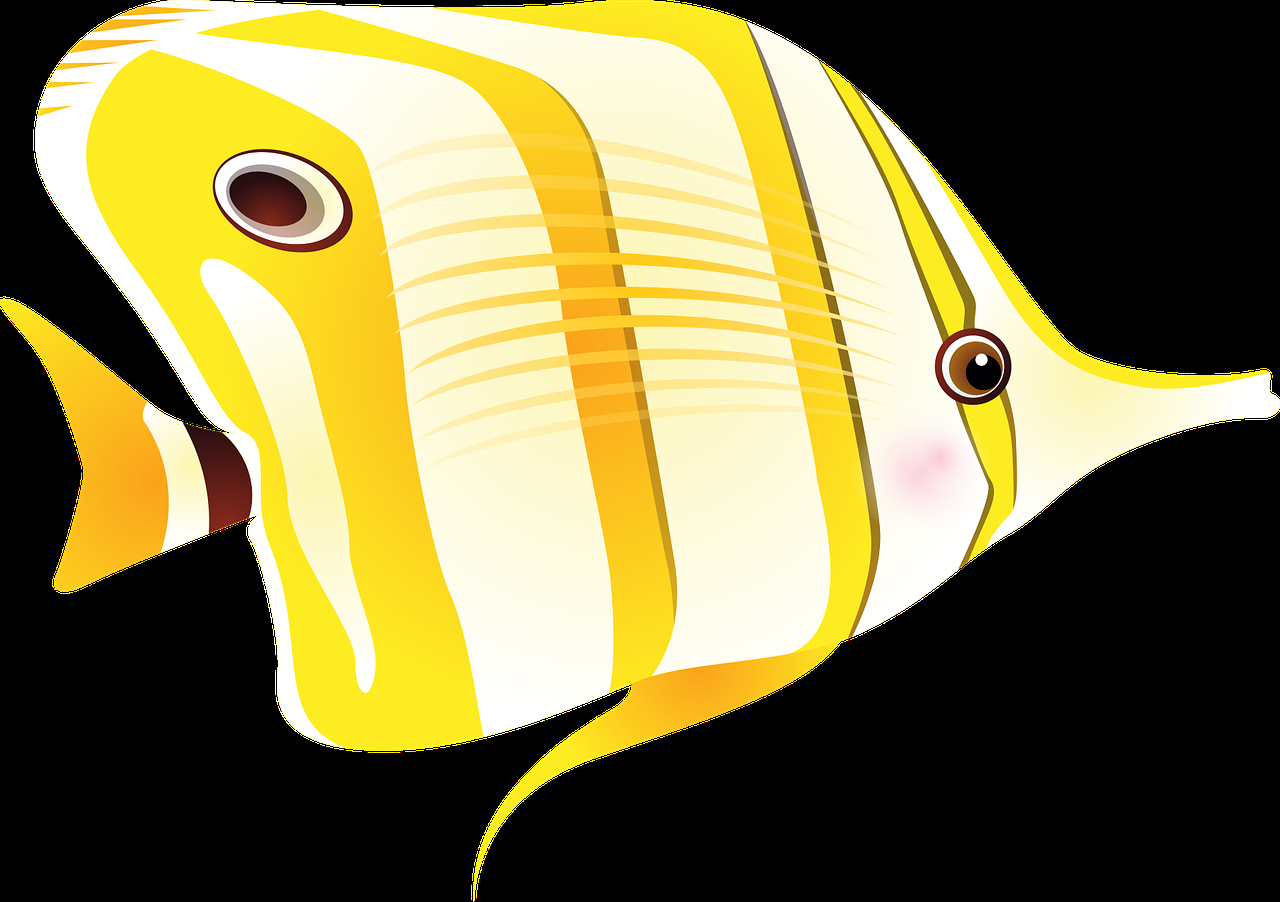 便宜的异型鱼缸推荐（ 异型鱼鱼缸） 白子黑帝王魟鱼