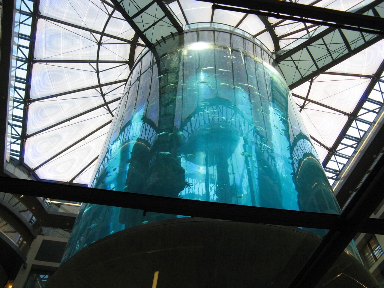 大型亚克力鱼缸用什么胶水粘接的：大型亚克力鱼缸用什么胶水粘接的好 黄金斑马鱼