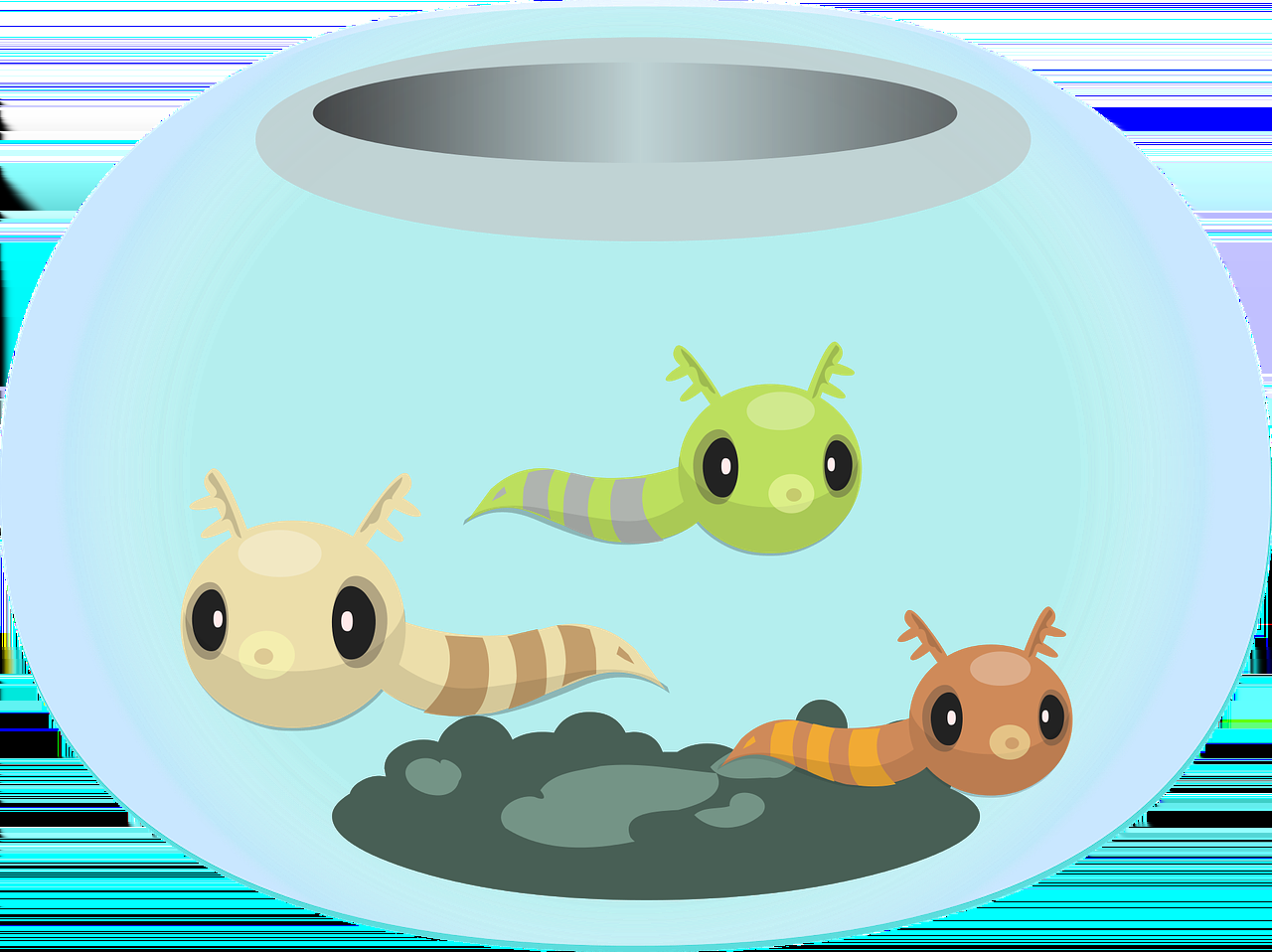 鱼缸里有什么能形成完整的生态系统（鱼缸怎样形成生态系统） 伊巴卡鱼