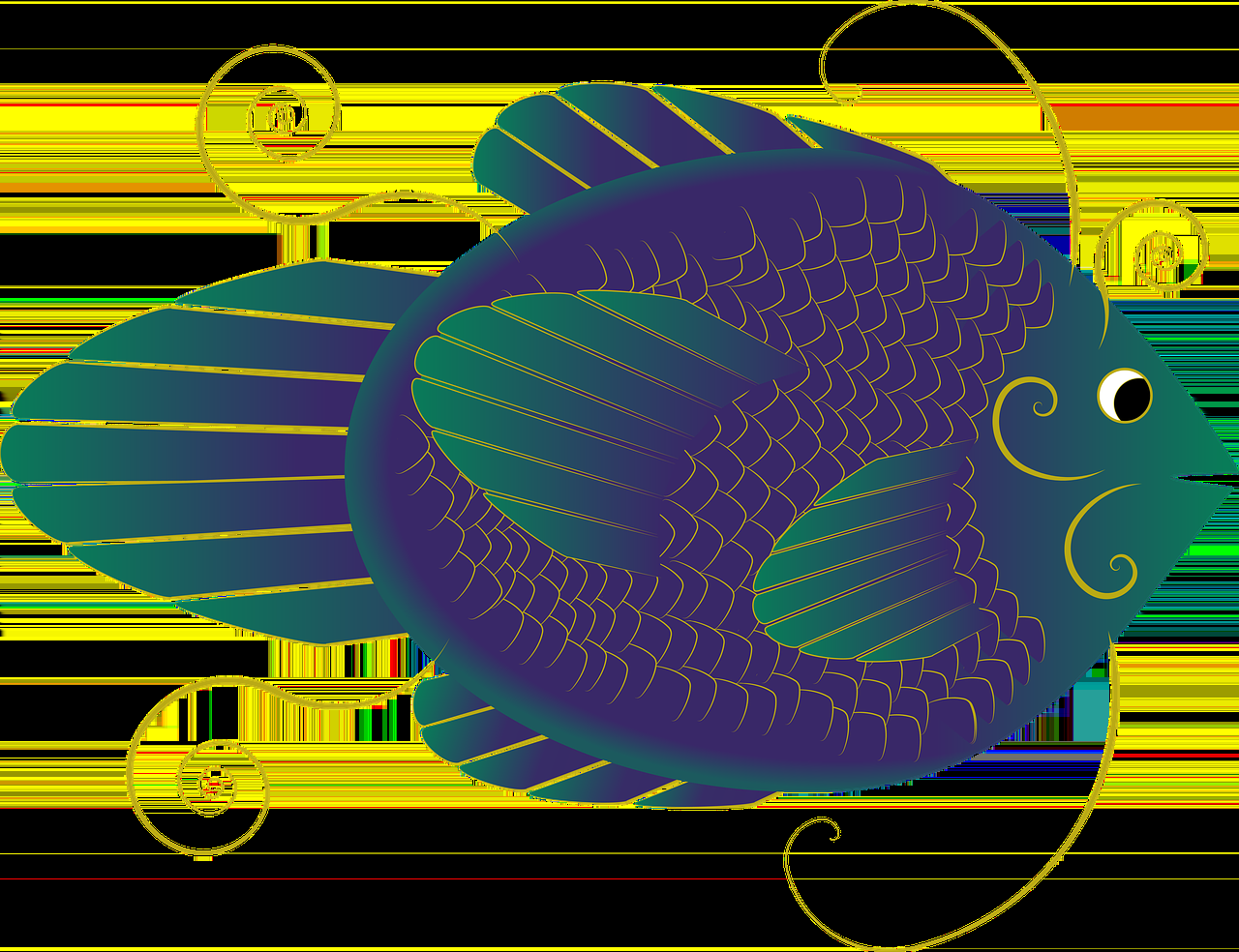 扁形鱼缸造景图片大全集高清（扁圆形鱼缸） 马拉莫宝石鱼苗