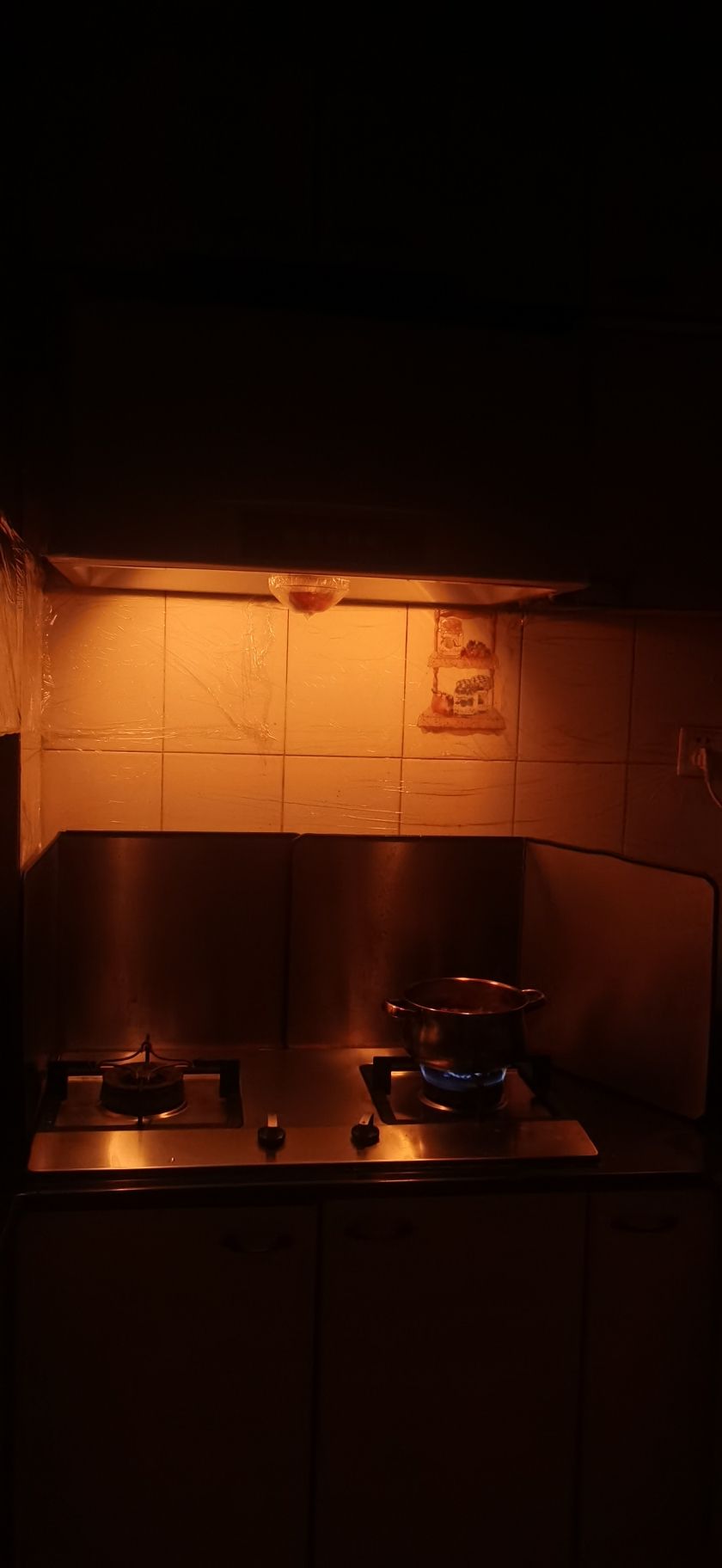 煮着煮着厨房顶灯熄灭了 观赏鱼论坛 第3张
