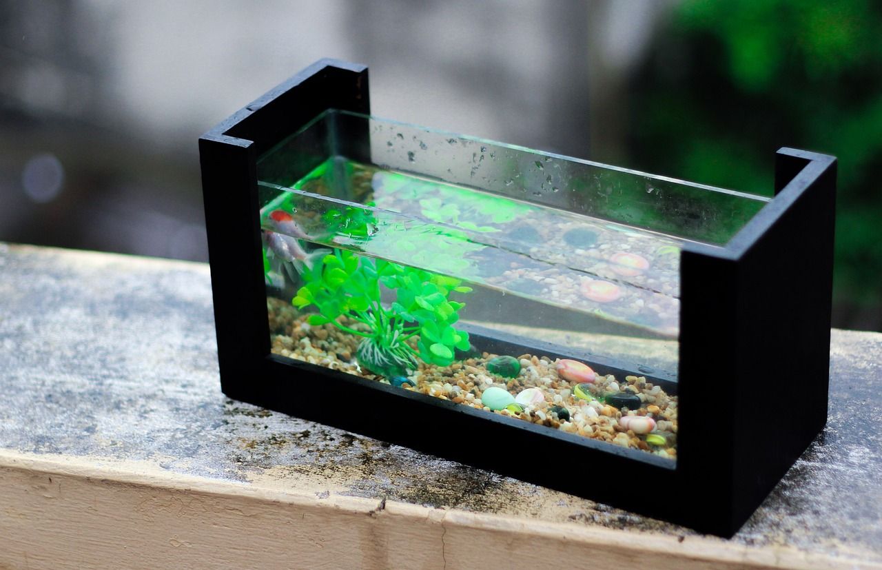 鱼缸框架怎么制作视频讲解图片 鱼缸架子图纸 小型观赏鱼