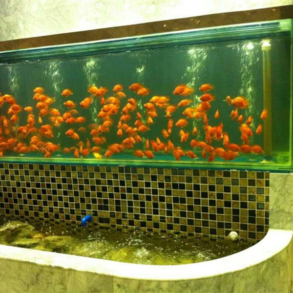 杭州鱼缸哪里买最便宜又好用的(杭州鱼缸哪里买最便宜又好用的地方) 孵化器