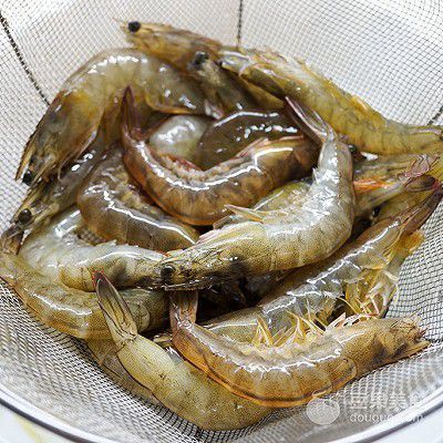 金龙鱼吃河虾吗