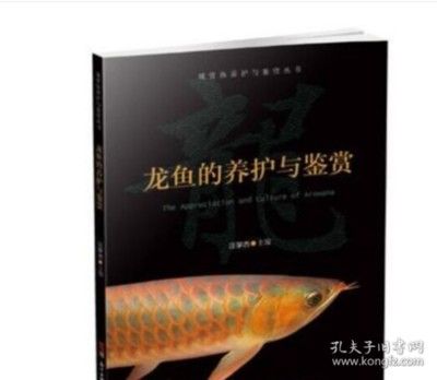 龙鱼的养殖技术与管理方法 龙鱼百科