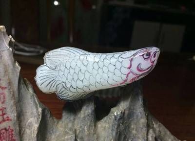 金龙鱼雕刻教程 龙鱼百科