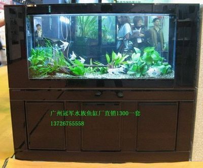 柳州鱼缸批发市场 全国观赏鱼市场 第1张