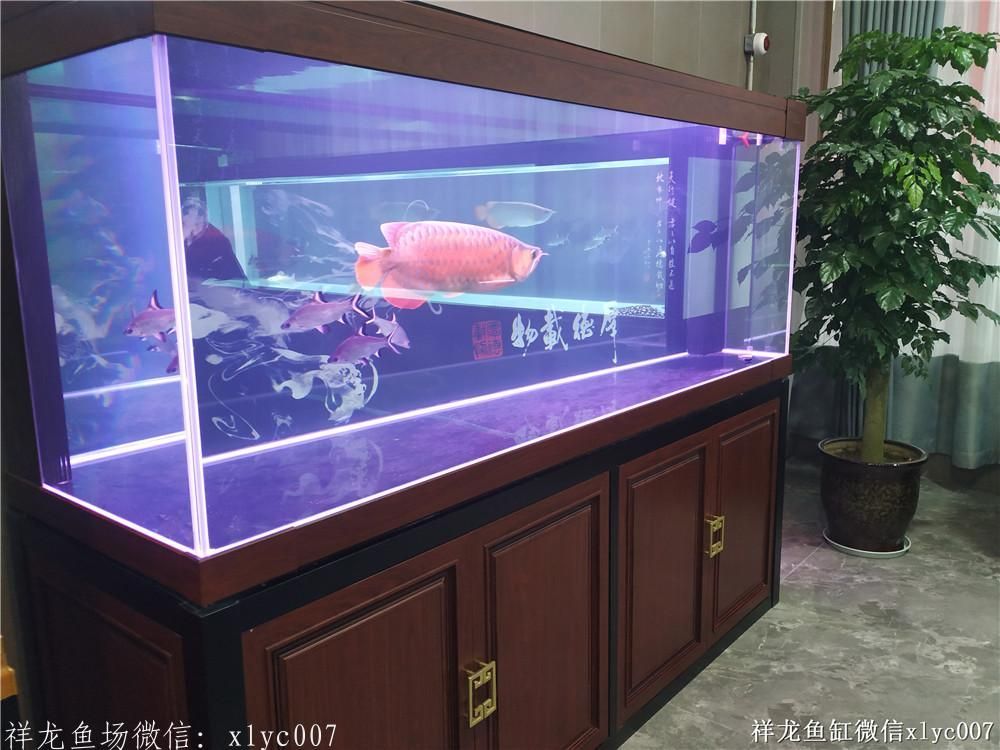 祥龙Sianlon鱼缸——品质卓越，设计创新，为您打造梦幻水族馆新体验！ 鱼缸 第2张