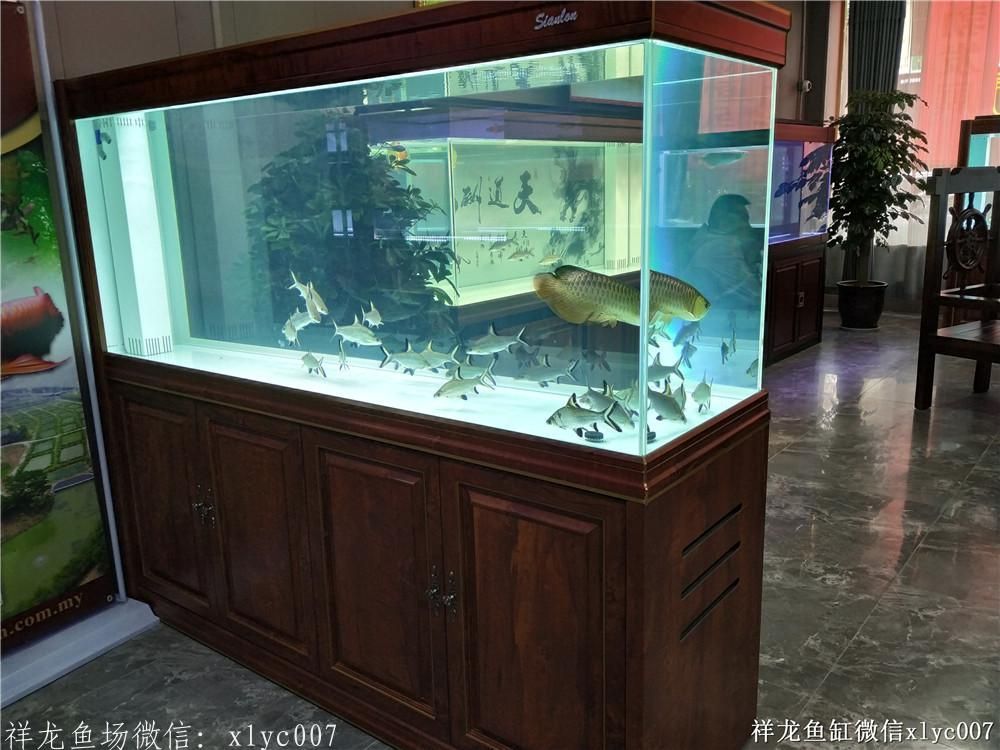 祥龙Sianlon鱼缸——品质卓越，设计创新，为您打造梦幻水族馆新体验！ 鱼缸 第6张