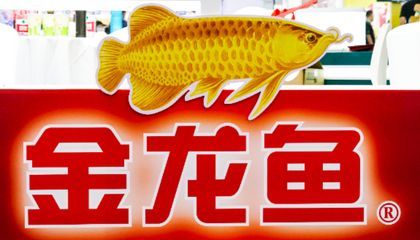 广州市金龙鱼总经销地址：广州市精汇工艺品有限公司金龙鱼总经销地址搜索结果