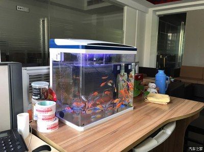 红龙鱼鱼缸温度怎么控制：红龙鱼水温控制方法