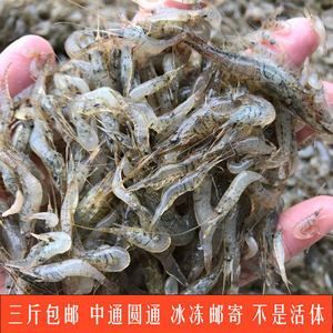 金龙鱼吃虾用去皮吗：喂食金龙鱼时需要去皮吗？