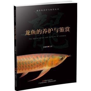 龙鱼鉴赏标准：鉴赏龙鱼的标准 龙鱼百科