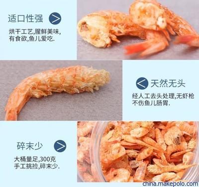 龙鱼吃虾干要泡吗：喂食龙鱼虾干时需要泡开吗，龙鱼虾干要泡吗，龙鱼吃虾干要泡吗