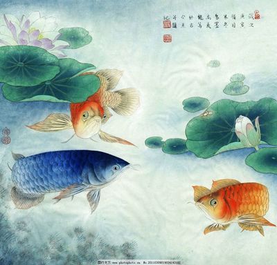 金龙鱼水墨画：金龙鱼水墨画的基本画法 龙鱼百科 第1张