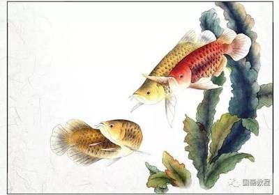 金龙鱼国画作品：金龙鱼国画作品是一种富有魅力和内涵的艺术品，收藏价值很高