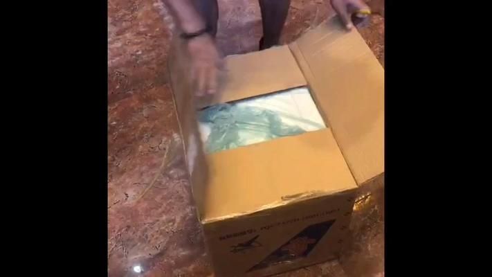 龙鱼打包发货48小时安全吗视频：关于龙鱼打包发货的一些问题