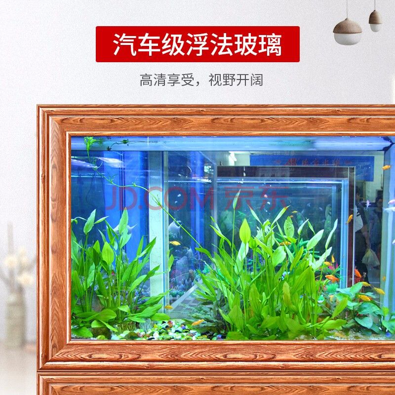 金龙鱼缸水变绿怎么办啊：金龙鱼缸水变绿了怎么办