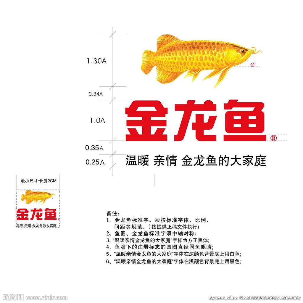 金龙鱼一般能长多少厘米啊：金龙鱼的成年体长多大