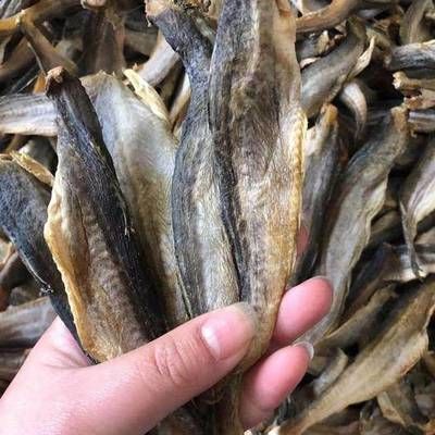 印尼龙鱼批发市场在哪里有：关于印尼龙鱼批发市场的一些信息 龙鱼百科 第2张