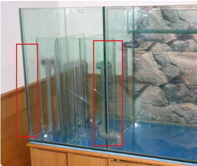 2米长1米宽鱼缸用多厚玻璃好：如何选择鱼缸玻璃