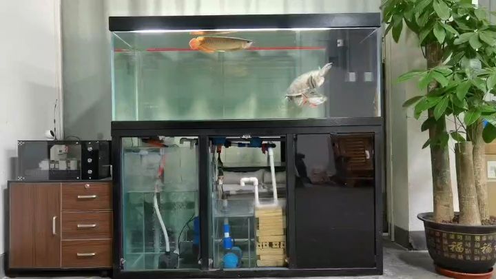 鱼缸自动换水  自动补水：鱼缸换水，自动化