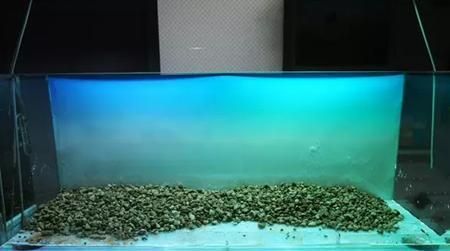 1米高的鱼缸怎么造景视频讲解：1米高的鱼缸造景视频素材网1米高的鱼缸造景技巧