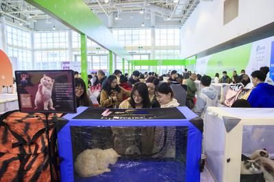 2024宠物水族博览会：2018中国山东国际宠物水族用品博览会概述