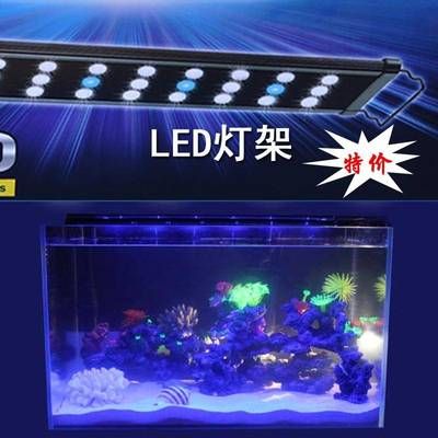 diy鱼缸led背景板：自制鱼缸led背景板的方法