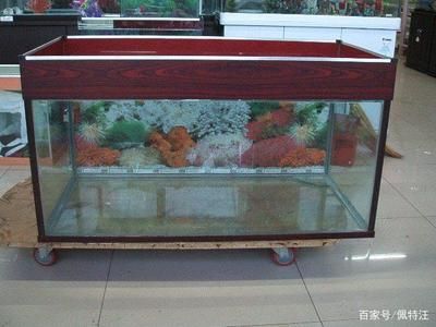 1米8鱼缸用多厚的玻璃胶好：1米8长的鱼缸用多厚的玻璃胶好？