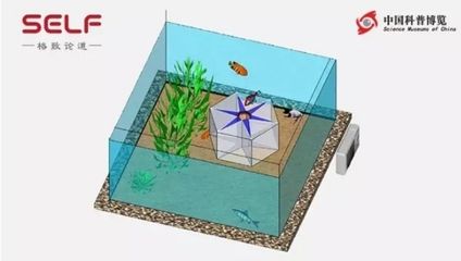 19mm玻璃鱼缸极限水位：19mm玻璃鱼缸极限水位之前需要了解一些关于鱼缸设计和安全性的知识