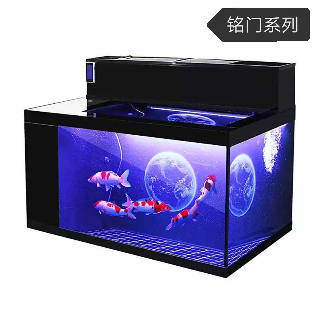 超白鱼缸用什么灯好看又实惠：如何选择超白鱼缸的灯光